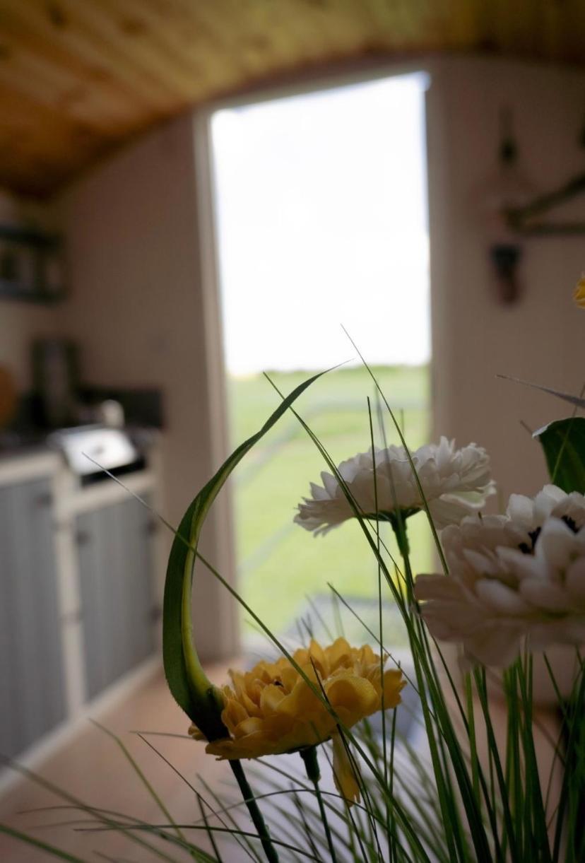 Maple Hut Four Acre Farm Hotel Aylsham Eksteriør billede